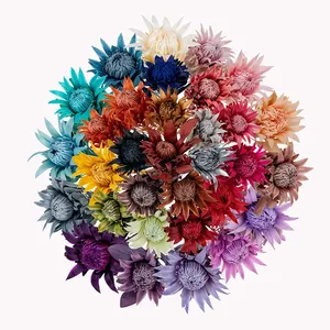 Flores Naturales Preservadas AYOYO OEM, Protea Gigante de Larga Duración, Flores de Protea Preservadas, King Floral - Product Image 5