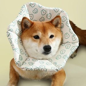 Collier réglable en nylon, silicone et PU pour chats et chiens, collier anti-léchage et anti-morsure, protège-tête de beauté, laisse souple pour chien imprimée - Product Image 2