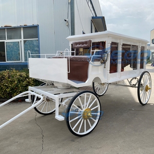 Carroza Fúnebre Blanca, Venta Directa de Fábrica, Carroza Fúnebre Eléctrica Clásica y Elegante de Cuatro Ruedas - Product Image 2