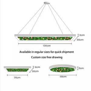 Lustre d'intérieur moderne <span class=keywords><strong>Luminaire</strong></span> <span class=keywords><strong>de</strong></span> plafond décoratif suspendu avec plantes naturelles Feuille Floral Éclairage <span class=keywords><strong>de</strong></span> <span class=keywords><strong>bureau</strong></span> Décor Lumière - Product Image 6