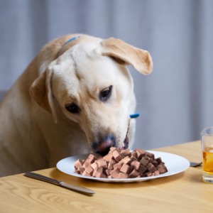 ขนมหัวใจ<span class=keywords><strong>เนื้อ</strong></span>อบแห้งออร์แกนิคสำหรับสุนัขและแมวปลอดภัยสำหรับสัตว์เลี้ยง - Product Image 2