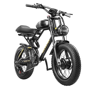 Vélo Électrique de Descente à Double Moteur 20 Pouces Tout Suspendu Motocross Électrique Dirt Pit Bike à Pneus Larges VTT Électrique 3000W - Product Image 3