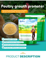 L-Lysine en poudre de qualité alimentaire pour animaux Lanchen Shandong (CAS 657-27-2) – Additif alimentaire favorisant la santé nutritionnelle et enzymatique