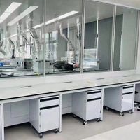 Banc de travail modulaire en acier de haute qualité avec armoire mobile, table de laboratoire résistante à la corrosion pour laboratoire chimique