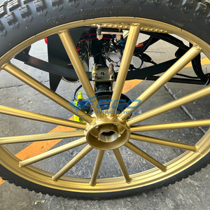 Carrozza reale di lusso del cavallo con la carrozza a cavallo elettrica sigillata dell'automobile su misura l'alta qualità carrozza reale da vendere - Product Image 6