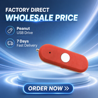 Logo Kustom 2GB USB 2.0 Flash Drive Bentuk Kacang Plastik Enkripsi Stok Baru Garansi 3 Tahun Warna Kustom untuk Hadiah Promosi