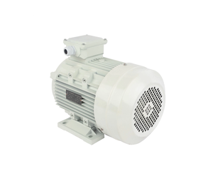 มอเตอร์เหนี่ยวนำไฟฟ้ากระแสสลับแบบอะซิงโครนัสสามเฟส มาตรฐาน IEC 220V/380V 50/60Hz สำหรับเครื่องปรับอากาศและปั๊มน้ำ ซีรีส์ IE3 มาตรฐาน IEC - Product Image 6