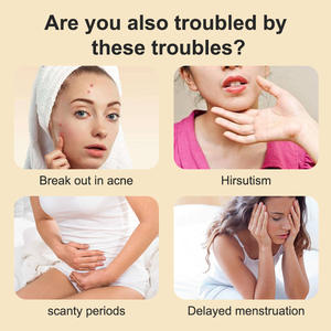 Bio-Blühender Feigen-Leinsamen-Gebärmuttertee Frische Kräuter Lose Teebeutel in Großpackung Geschmackvoller Gesundheits- und Fruchtbarkeitstee ISO-Zertifiziert - Product Image 2