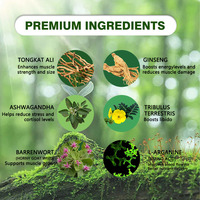 Cápsulas de rendimiento masculino a base de plantas Fuerza natural Stamina Booster Fórmula herbal para el crecimiento muscular Mejora de la energía