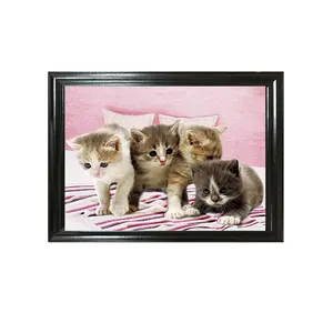 Animaux en gros 30*40cm image lenticulaire 3D de beau chat pour la décoration