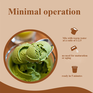 OEM/ODM Soft servire gelato in polvere 1Kg Mix <span class=keywords><strong>di</strong></span> gelato Matcha verde fatto in casa - Product Image 6