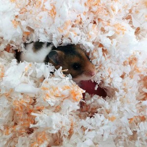 Ropa de cama de algodón de papel caliente para mascotas pequeñas de Bajo polvo, ropa de cama a base de papel Natural para hámster, pellets de hámster, papel de cama para invierno - Product Image 3