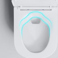 WC en céramique économique, monobloc, à poser au sol, avec chasse d'eau cyclonique siphonique, pour salle de bain, cuisine et extérieur