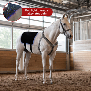 Pads de luminothérapie rouge portables à longueur d'onde personnalisable (440nm, 660nm, 850nm) avec batterie rechargeable intégrée et minuteur de 15 minutes pour chevaux - Product Image 4