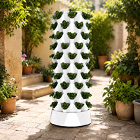 Tour hydroponique à haut rendement à 10 niveaux pour la culture d'ananas avec pompe submersible et pots en filet pour l'agriculture verticale intérieure