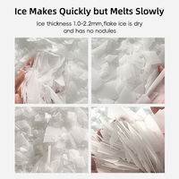 Machine à glace en flocons commerciale 200 kg/24h, grande capacité, en acier inoxydable, avec compresseur de marque réputée pour supermarché