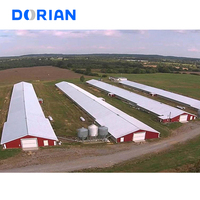 Hangars pour poulets de chair modernes Kit de poulaillers Préfabriqués en acier à plusieurs niveaux pour la volaille
