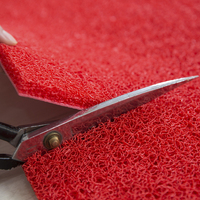 Tapis de porte 3m, vente flash, tapis anti-poussière