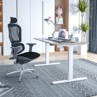 Bureau à hauteur réglable à double moteur Table de direction moderne et durable Fourniture de bureau Bureau de direction de haute technologie