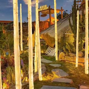 Rất mờ độc đáo hiệu ứng ánh sáng 1m 2M 3m tùy chỉnh FRP nhân tạo cây bạch dương thân cây với LED - Product Image 2