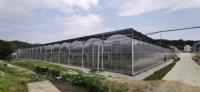 Panneaux de serre en polycarbonate PC Xianke XKPV-120 de haute qualité, transparents, durables, résistants aux intempéries et aux UV pour l'agriculture