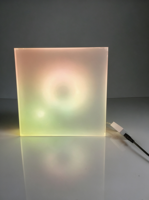 Boîte à lumière LED RGB personnalisée OEM, sculpture lumineuse 3D pour magasin de détail, restaurant, hôtel, intérieur