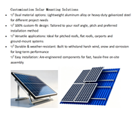 Module solaire bifacial double vitrage de type N DHM66D50-TP 710W, 210 mm, 132 cellules, panneau PV transparent pour système d'énergie solaire