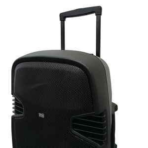 ลำโพงเวทีแบบ Passive ขนาด 15 นิ้ว 100 วัตต์ 4 โอห์ม เสียงระดับมืออาชีพ ผลิตในอิตาลี - Product Image 4