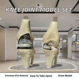 Zhizao PVC de alta calidad, Novedad 2025, Modelo de maniquí desmontable de doble articulación de rodilla plateada pequeña artificial para implantes y prótesis - Product Image 2