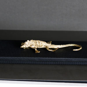 批发定制空间装饰雕塑家居装饰项目铜鬣蜥工艺品 - Product Image 6