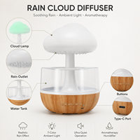 Humidificateur créatif en forme de nuage, décoration esthétique pour la maison, fontaine à goutte d'eau, diffuseur, son de pluie sensoriel, machine d'aromathérapie