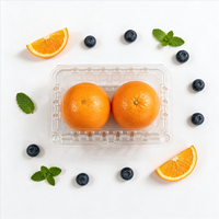 Groothandel Transparante Fruit- en Groenteverpakkingen Grote Capaciteit Houdt Vers Supermarkt Voedselveilig Gerecycled PET