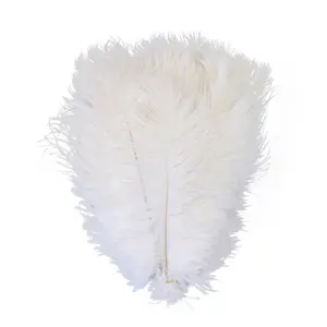 55-60厘米DIY大型白色羽毛嘉年华70-75厘米鸵鸟羽毛派对装饰