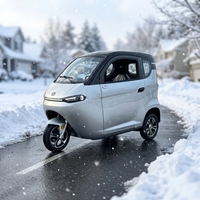 Scooter électrique à trois roues avec batterie auto-chauffante SIGMA 3 EEC/COC, tricycle électrique avec chauffage