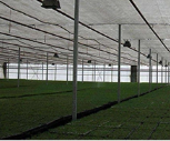 PE UV impermeable jardín planta valla malla 6 aguja 60% negro parasol tela vela y cubierta de red rollo para invernadero agrícola - Product Image 4