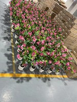 Nueva Decoración para Hogar, Jardín y Bodas, Planta de Flores de Interior y Exterior, Árbol de Magnolia y Orquídea Artificial de Seda