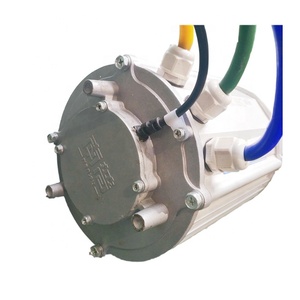 มอเตอร์สามล้อแบบไร้แปรงถ่าน 2KW 2.5KW กันน้ำ พร้อมแม่เหล็ก สำหรับผู้โดยสารและยานพาหนะ สำหรับตลาดอินเดีย - Product Image 4