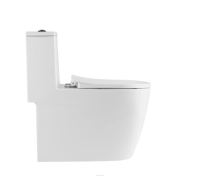 WC monobloc en céramique moderne à double chasse 3L/6L, à siphonique, à évacuation par le sol, avec abattant à fermeture douce, pour salle de bain d'hôpital