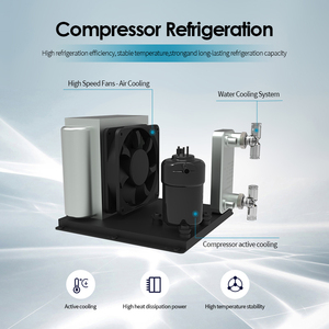 Laser Diode 2025 avec 2400w Triple Ai Diode Laser <span class=keywords><strong>Épilation</strong></span> 4 Longueurs d'Onde Diode Laser <span class=keywords><strong>Épilation</strong></span> Machine - Product Image 5