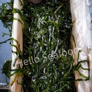 สาหร่ายทะเลเค็มเอเชียแท้ๆเหมาะสำหรับการดองและการตกแต่ง - Product Image 2