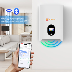 Système de Batteries <span class=keywords><strong>LiFePO4</strong></span> de Stockage d'Énergie Domestique Powerwall 15 kWh 51,2 V, Batteries au Lithium 48 V 200 Ah, 48 V 280 Ah, 300 Ah, 314 Ah - Product Image 2