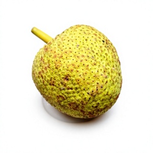 Nouveau produit : Farine de fruit du pain du Vietnam (Artocarpus Altilis) en poudre, agent liant pour pâte de pain Ulu hawaïen - Product Image 1
