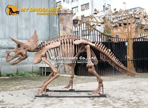 My Dino Theme Playground Tamaño real <span class=keywords><strong>Triceratops</strong></span> <span class=keywords><strong>Dinosaurio</strong></span> <span class=keywords><strong>Esqueleto</strong></span> - Product Image 6