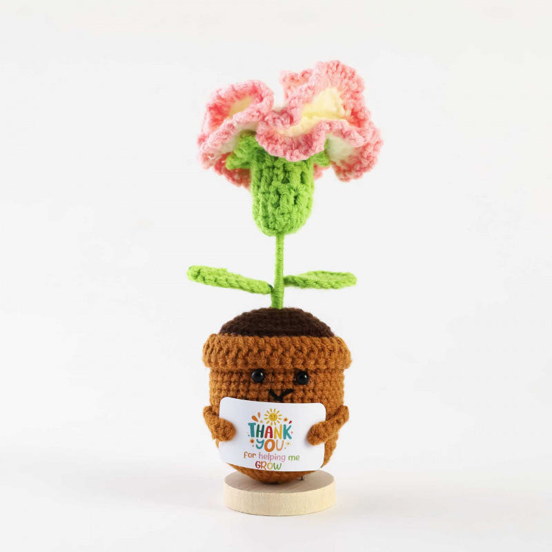 Carnation dégradé rose