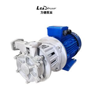 Lead Magnetic Drive Pump 304 Stainless Steel 160m Head <b>Single</b> <b>Phase</b> <b>Electric</b> For Hot Water Oil Chemicals - Product Image 2