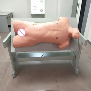 แบบจำลองการฝึกทักษะการเจาะและการเคาะแบบครอบคลุมหุ่นจำลองการศึกษาการพยาบาล - Product Image 2