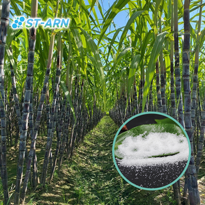 土壌安定化ポリマー ソリッドレインソコ ポリカリウムアクリレート ハイドロゲル 植物栽培用 - Product Image 5