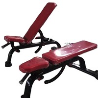 ASM-B4052 Banc de musculation professionnel inclinable de qualité commerciale pour l'entraînement de force des professionnels