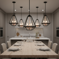 OEM ODM Lustre Cage en Fer Forgé Style Rétro Américain, Taille Moyenne, E12, Noir, pour Cuisine, Design Original