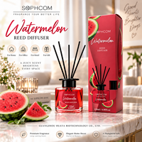 Diffuseur de parfum d'ambiance en verre avec bâtonnets en fibre, décoration aromatique pour la maison, vente en gros, fabricant, emballage personnalisé avec logo